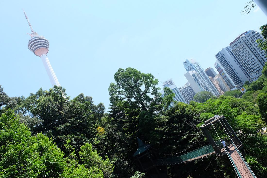 Rainforest canopy inside the Bukit Nanas reserve in central Kuala Lumpur